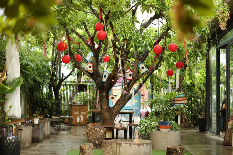 sân vườn xanh của quán cà phê